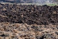 Pile of fresh animal manure on field preparetion for planting vegetables