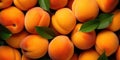 A Pile Of Fresh Apricots With Green Leafs Captured In An Upclose Detailed Photograph From Above