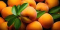 A Pile Of Fresh Apricots With Green Leafs Captured In An Upclose Detailed Photograph From Above