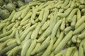 A pile of fresh Armenian cucumber Cucumis melo var. flexuosus for sale