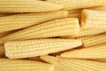 Pile of fresh baby corn cobs as background, closeup