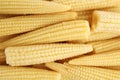 Pile of fresh baby corn cobs as background, closeup Royalty Free Stock Photo