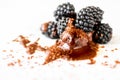 Pile of fresh blackberry with dissolved chocolate on white background