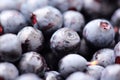 Pile of fresh blueberries close-up Royalty Free Stock Photo