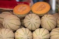 Pile of fresh cantaloupe melons on a market stand, close up Royalty Free Stock Photo