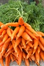 Pile of fresh carrots