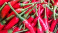 Pile of fresh chili on BANGKOK market