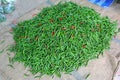 Pile of Fresh Chillies