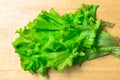 Pile of fresh organic letucce heads. Harvest heap of freshly cut green salad leaves on wooden table. Clean eating concept. Healthy