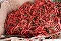 Pile of fresh curly red chilies in a basket, at a traditional market