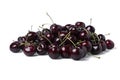Pile of Fresh dark red cherries of the type Kordia isolated on a white background Royalty Free Stock Photo