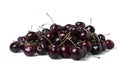 Pile of Fresh dark red cherries of the type Kordia isolated on a white background