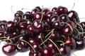 Pile of Fresh dark red cherries of the type Kordia isolated on a white background