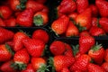 Pile of fresh delicious strawberries for sale Royalty Free Stock Photo