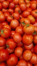 Pile of fresh delicious tomatoes on a street market for sale Royalty Free Stock Photo