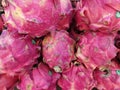 A pile of fresh Dragon fruits Royalty Free Stock Photo