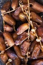 Pile of fresh dried dates Royalty Free Stock Photo