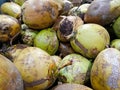 Pile of fresh green coconuts. Royalty Free Stock Photo