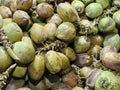 Pile of fresh green coconuts. Royalty Free Stock Photo
