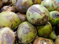 Pile of fresh green coconuts. Royalty Free Stock Photo