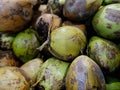 Pile of fresh green coconuts. Royalty Free Stock Photo