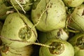 Pile of fresh green coconuts for sale at a market in Thailand Royalty Free Stock Photo