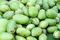 Pile of fresh green mango fruit in market Royalty Free Stock Photo