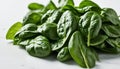 A pile of fresh green spinach leaves