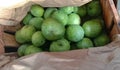 A pile of fresh green sweet mangoes is placed in a brown chest. The delivery of mangoes is placed in a brown box. Royalty Free Stock Photo