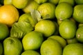 Pile of fresh green yellow limes at market for sale