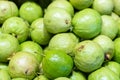 Pile of fresh guavas background