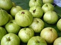 Pile of fresh guavas background