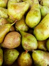 Pile of fresh harvested green yellow brown conference pears. Organic produce at farmer`s market. Mediterranean Royalty Free Stock Photo
