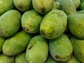 Pile of fresh mangoes