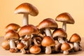 A pile of fresh mushrooms on a light yellow background