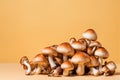 A pile of fresh mushrooms on a light yellow background