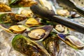 Mussels Served on Ice Royalty Free Stock Photo