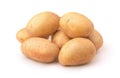 Pile of fresh new potatoes Royalty Free Stock Photo