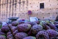 Pile of fresh Opuntia commonly called as prickly pear for sale at market