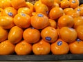 Pile of fresh Orange Afourer in supermarket