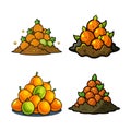 Pile of Fresh Oranges and Limes Cartoon Style Royalty Free Stock Photo