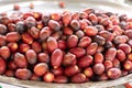 A pile of fresh organic dates Royalty Free Stock Photo