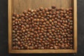 Pile of fresh organic hazelnuts on tray