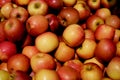 A pile of fresh, organic and juicy red apples on a market stall. Apples background. Royalty Free Stock Photo