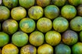 Pile of fresh organic local thai tangerine orange fruit background in yellow, green color and marked skin texture Royalty Free Stock Photo