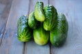 A pile of fresh picked cucumbers on wooden background