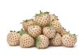 Pile of Fresh pineberries Royalty Free Stock Photo