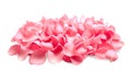 Pile of fresh pink rose petals on background Royalty Free Stock Photo