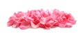 Pile of fresh pink rose petals on background Royalty Free Stock Photo