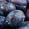 Pile of fresh plums Royalty Free Stock Photo